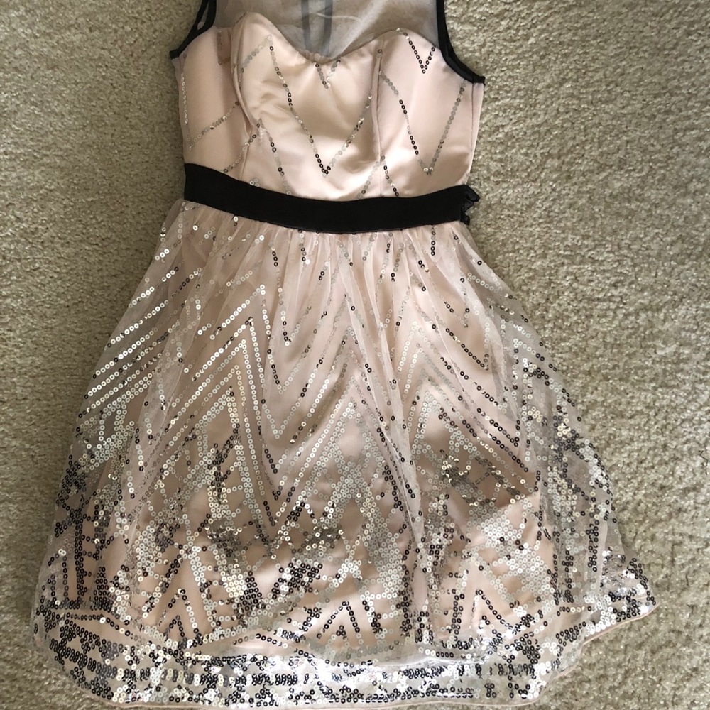 Nude pink sequined sheer dress
